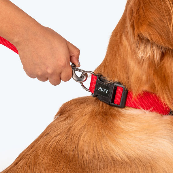 HUFT Basics Adjustable Nylon D Ring Collar for Dogs (Crimson Red)