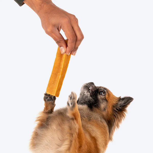 HUFT Yakies 100% Natural and Vegetarian Gluten Free Chew Bone for Dogs