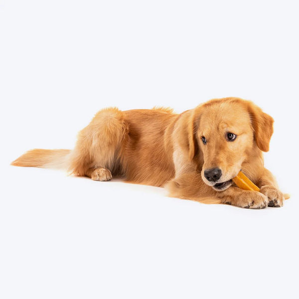 HUFT Yakies 100% Natural and Vegetarian Gluten Free Chew Bone for Dogs