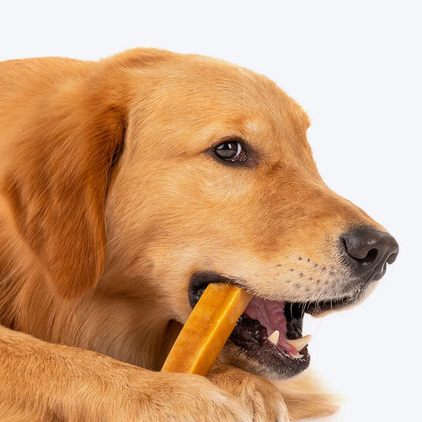 HUFT Yakies 100% Natural and Vegetarian Gluten Free Chew Bone for Dogs