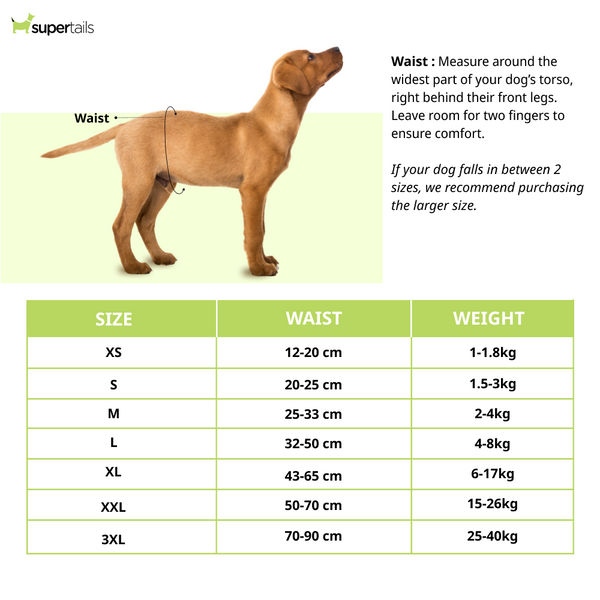 Barkbutler x Fofos Diaper for Male Dog (20x25cm)