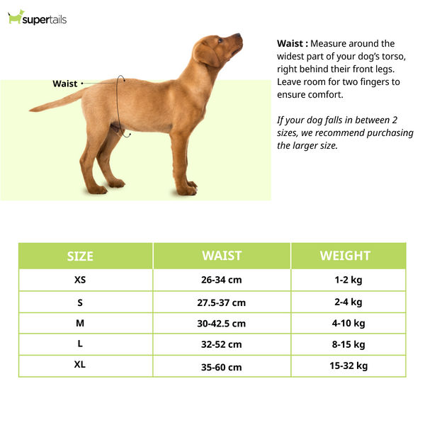 M Pets Diapers for Female Dogs (27.5x37cm)