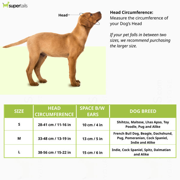 Dogobow Baseball Cap for Dogs and Cats (Orange) (Get a Bow Free)