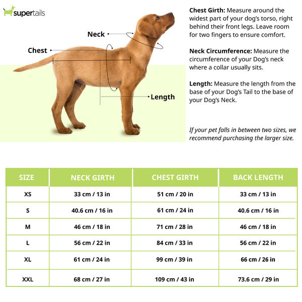 Dogobow Dino Hoodie for Dogs and Cats (Red) (Get a Bow Free)