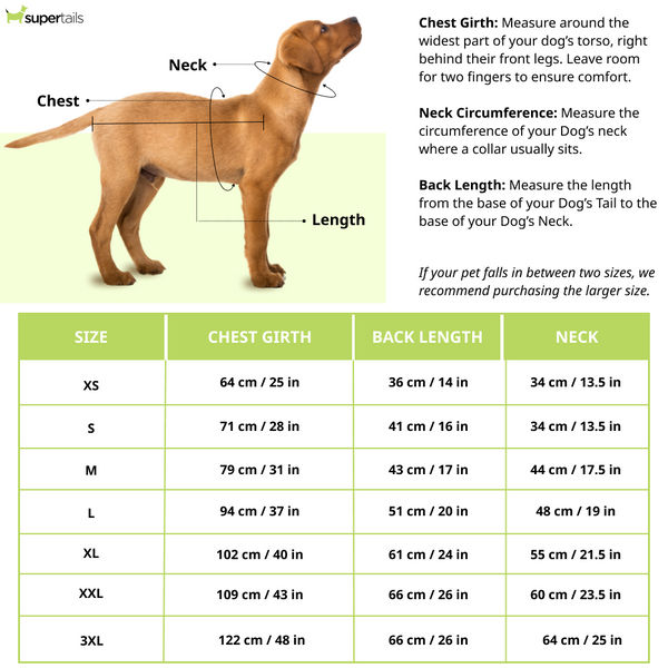 15buttons Watermelon Shirt for Dogs