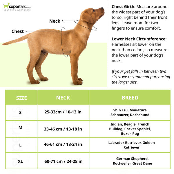 Aramesh Emerald Glow Adjustable Collar for Dogs (Pink and Green)