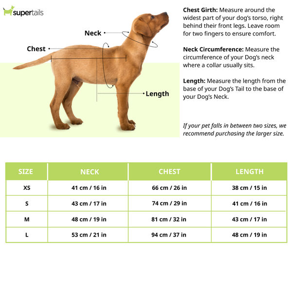 15 Furries Evil Eye Dress for Dogs