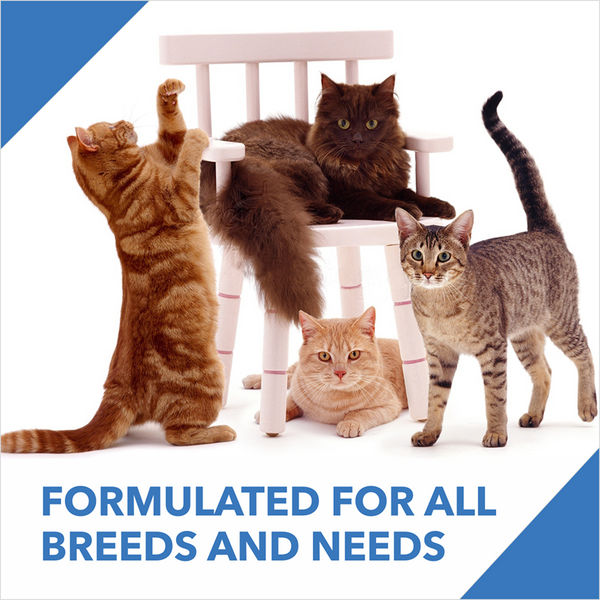 Drools Tuna & Salmon Adult Dry Cat Food
