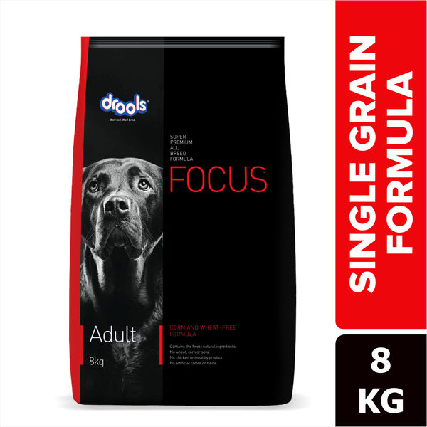 Drools Focus Super Premium Adult Dog Dry Food | Corn & Wheat Free Formula