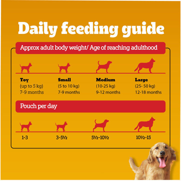 Pedigree Chicken & Liver Chunks in Gravy Puppy Wet Dog Food