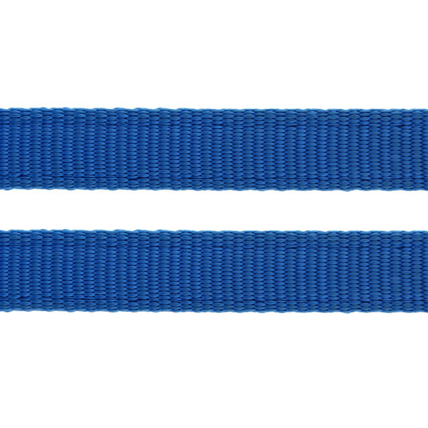 Trixie Premium Leash for Dogs (Royal Blue)