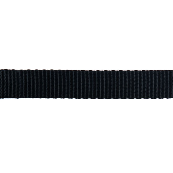 Trixie Premium Choke Collar for Dogs (Jet Black)
