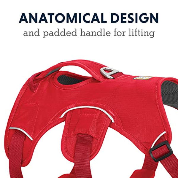 Ruffwear Webmaster Harness for Dogs (Red Currant)