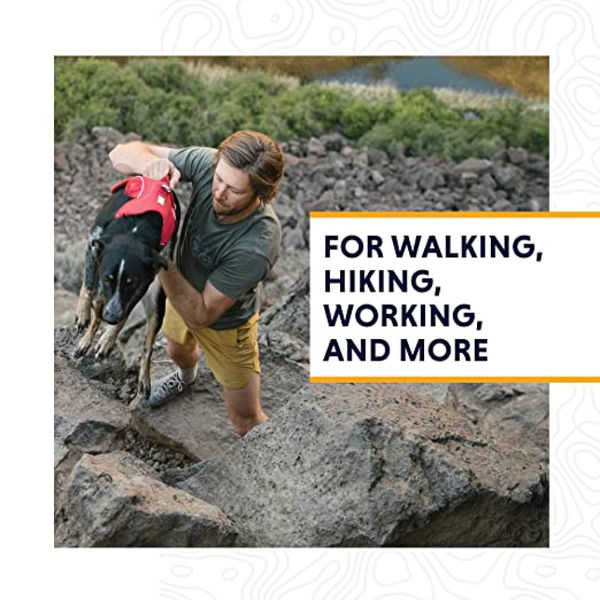 Ruffwear Webmaster Harness for Dogs (Red Currant)