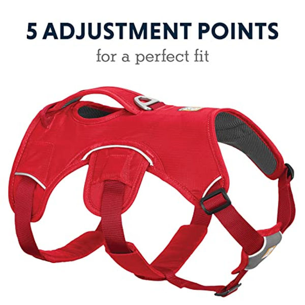 Ruffwear Webmaster Harness for Dogs (Red Currant)