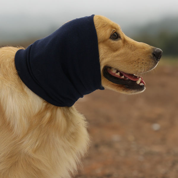 Skatrs Cold and Sound Protection Ear Muffs for Dogs and Cats (Blue)