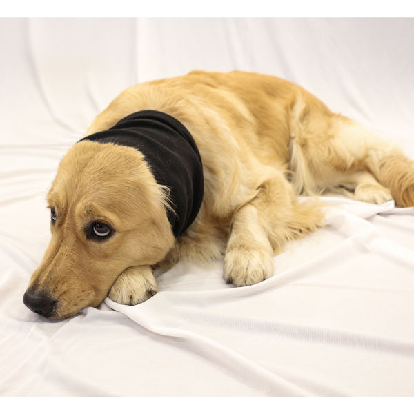 Skatrs Cold and Sound Protection Ear Muffs for Dogs and Cats (Blue)