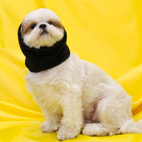 Skatrs Cold and Sound Protection Ear Muffs for Dogs and Cats (Black)