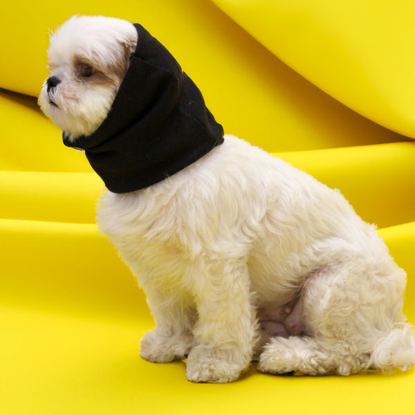 Skatrs Cold and Sound Protection Ear Muffs for Dogs and Cats (Blue)