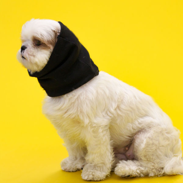 Skatrs Cold and Sound Protection Ear Muffs for Dogs and Cats (Black)