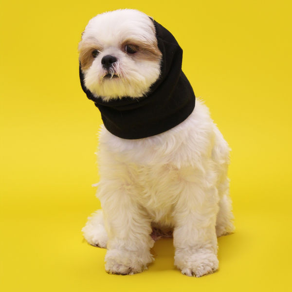 Skatrs Cold and Sound Protection Ear Muffs for Dogs and Cats (Black)