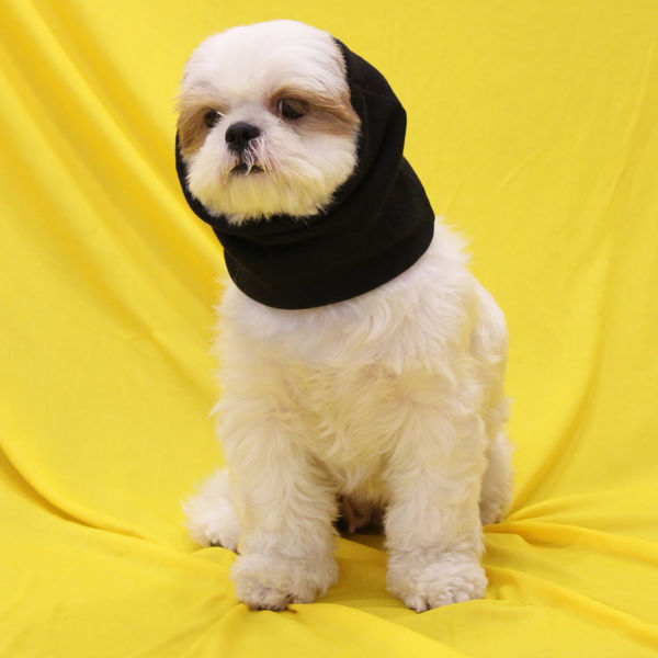 Skatrs Cold and Sound Protection Ear Muffs for Dogs and Cats (Blue)