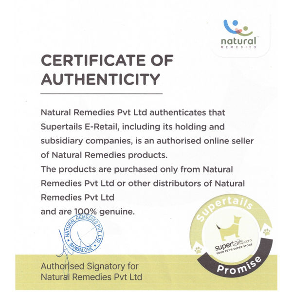 Natural Remedies Digestive Bites Chew Treats for Dogs