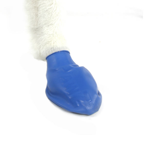 Protex PawZ Disposable and Reusable Boots for Dogs (Blue)