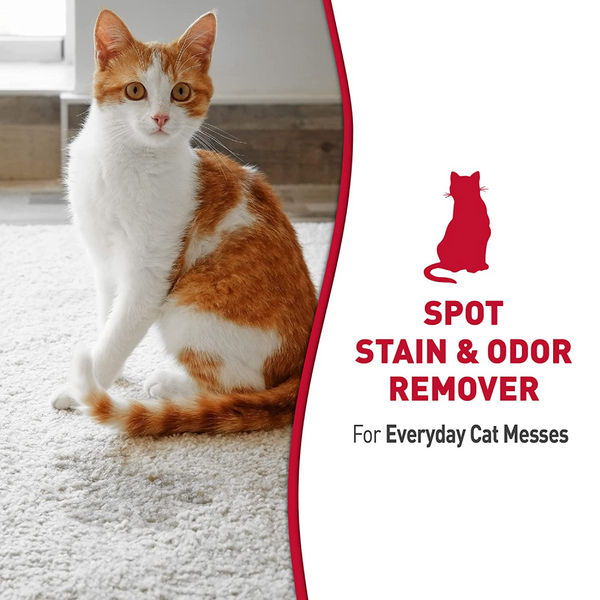 Nature’s Miracle Stain & Odor Remover for Cats (Melon Burst)