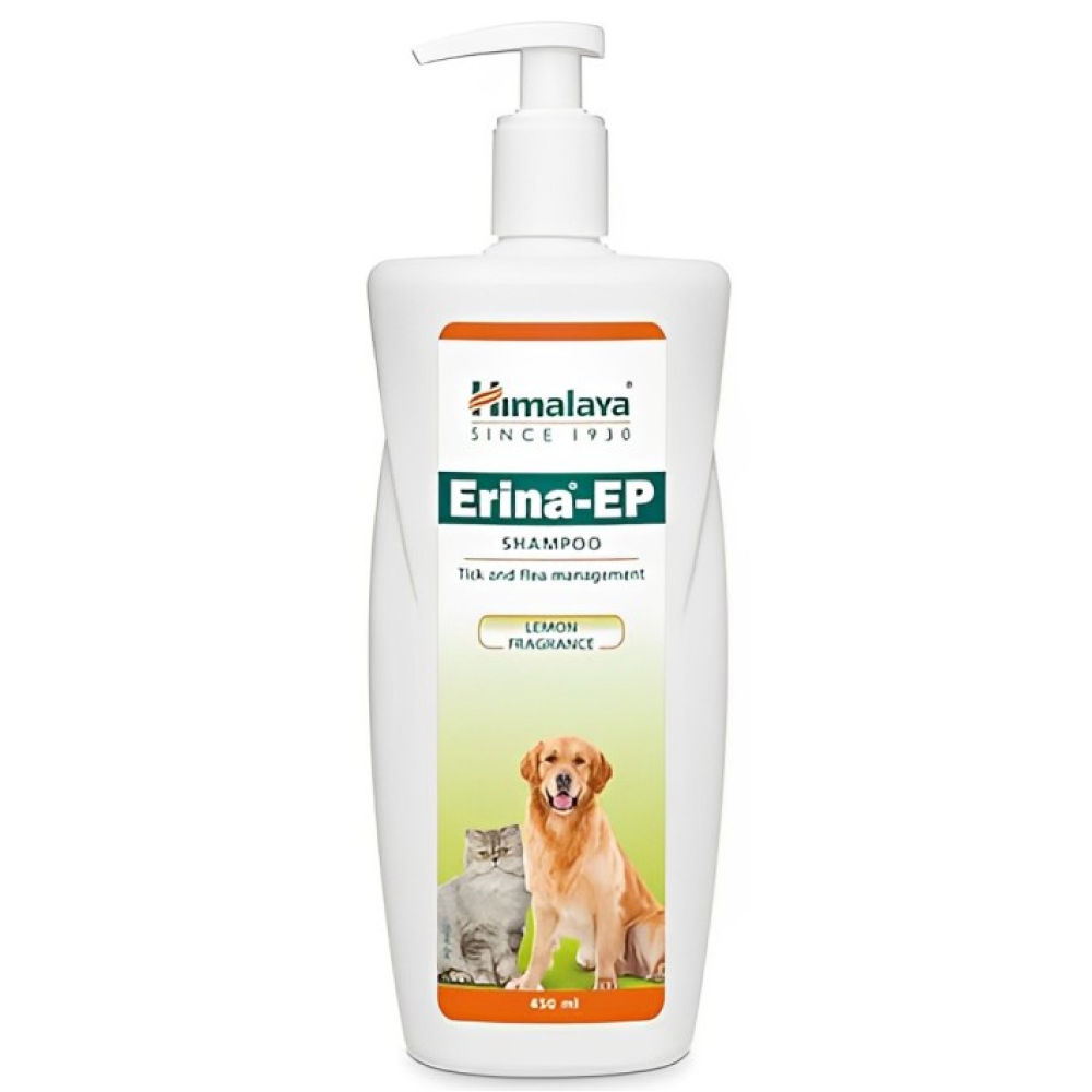 Can u use dog flea shampoo clearance on cats