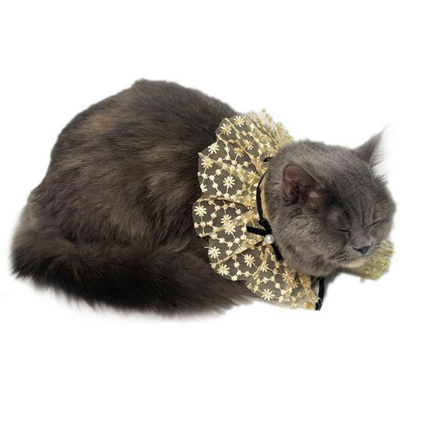 Dogobow Net Ribbon Neck Tutu for Dogs and Cats (Cream) (Get a Bow Free)