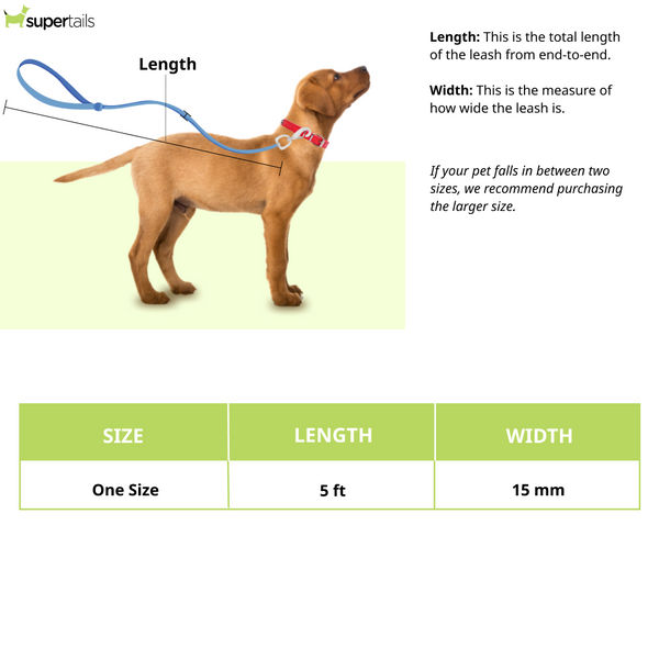 Pawpourri Retractable Leash for Dogs and Cats (Orange)