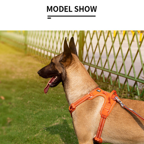 Truelove No Pull Cordura with 3M Reflective Material Harness for Dogs (Orange)