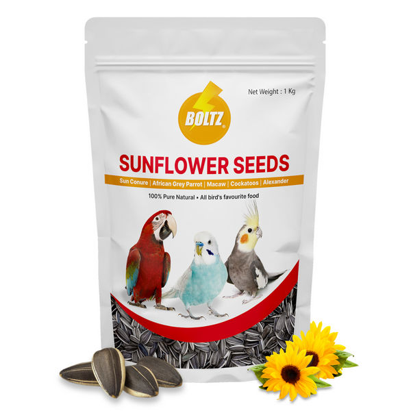 Boltz Striped Sunflower Seeds Bird Food