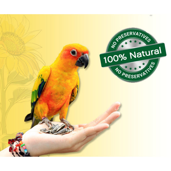 Boltz Striped Sunflower Seeds Bird Food