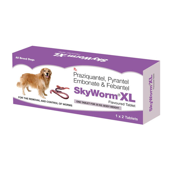 Skyec Skyworm XL Dog Deworming Tablet (Pack of 2) And Skyworm Dog Deworming Tablet (Pack of 10) Combo