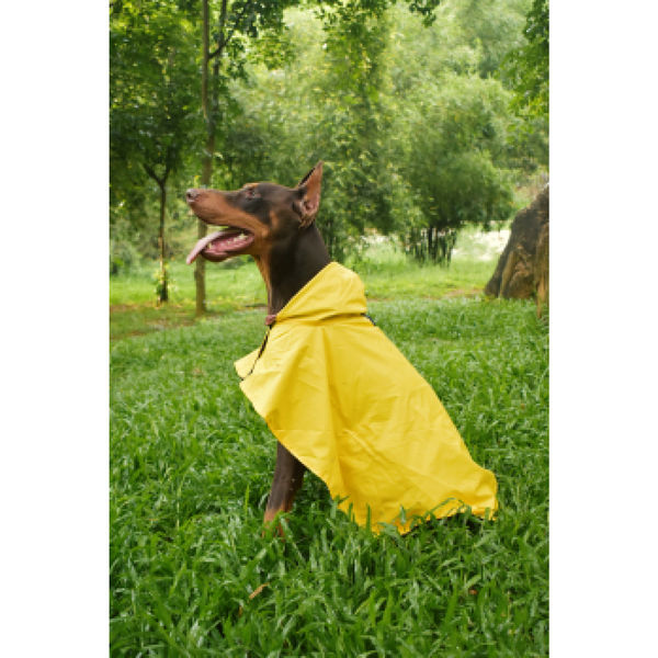 Pet Set Go Cape Style Raincoat for Dogs (Yellow)