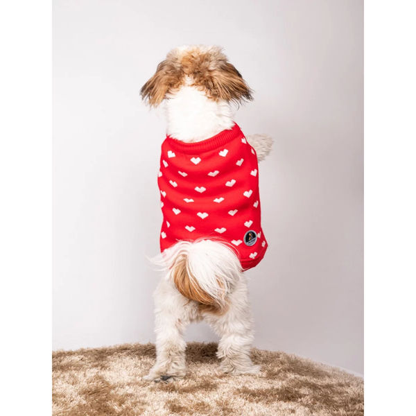 Petsnugs Heart Sweater for Dogs and Cats (Red)