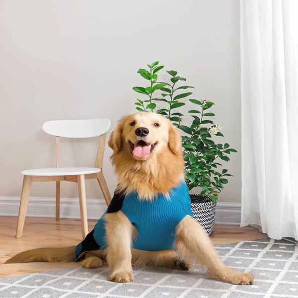 Petsnugs Half Cable Half Fully Fashion Sweater for Dogs and Cats (Blue/Black)