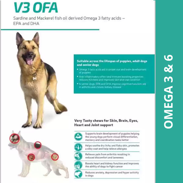 Vvaan V3 OFA Tablet Omega 3 & 6 Supplements for Dogs (pack of 40 tablets)