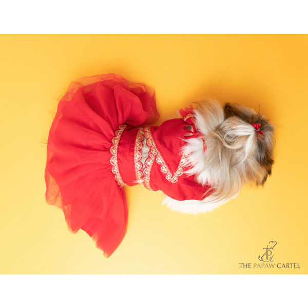 The Papaw Cartel Embellished Chanya Choli For Dogs (Red)