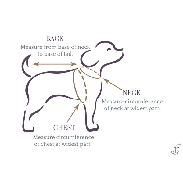 The Papaw Cartel Embellished Chanya Choli For Dogs (Red)