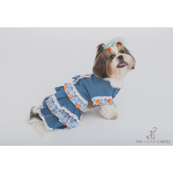 The Papaw Cartel Denim Floral Skirt Dress for Dogs (Blue)
