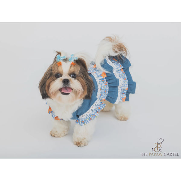 The Papaw Cartel Denim Floral Skirt Dress for Dogs (Blue)