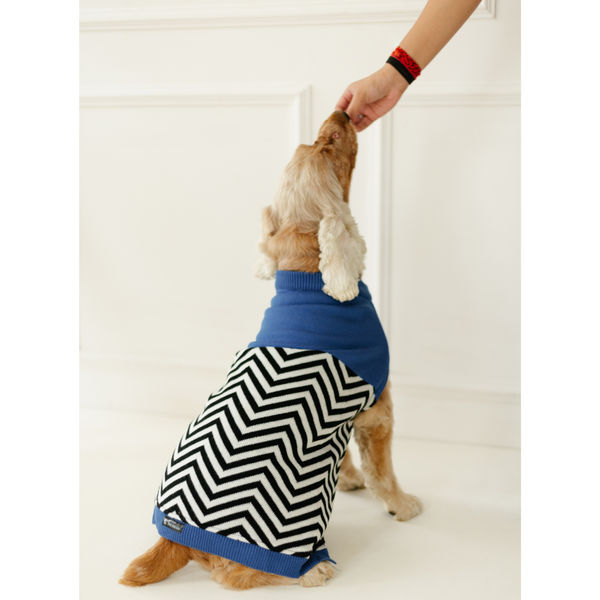 Pet Set Go Raisin’s Sweater for Dogs and Cats (Blue & Black)