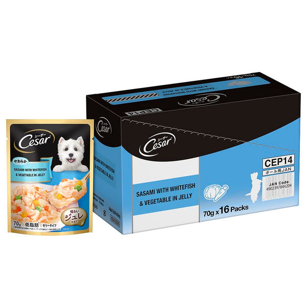 Cesar Sasami with Whitefish & Vegetable in Jelly Dog Wet Food