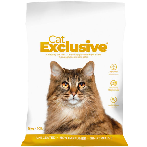 Intersand Cat&