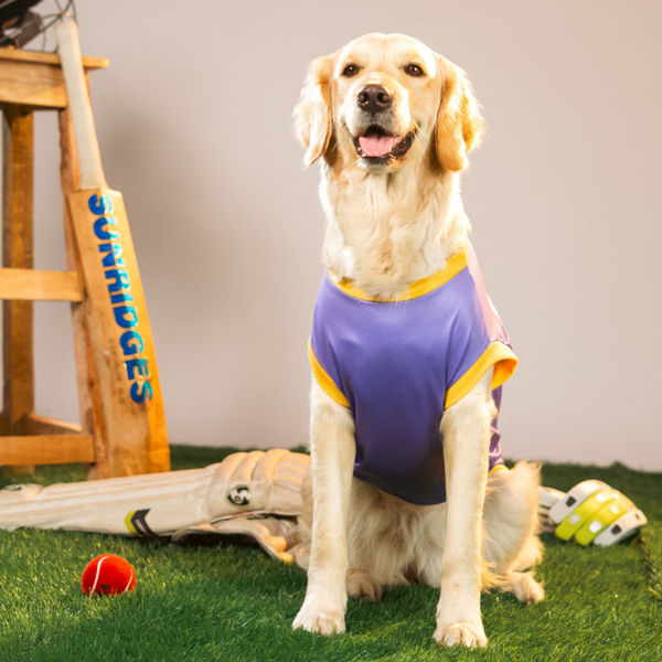 Pet Set Go Kolkata Woof Gliders IPL Jersey for Dogs (Purple) | Indian Pet League