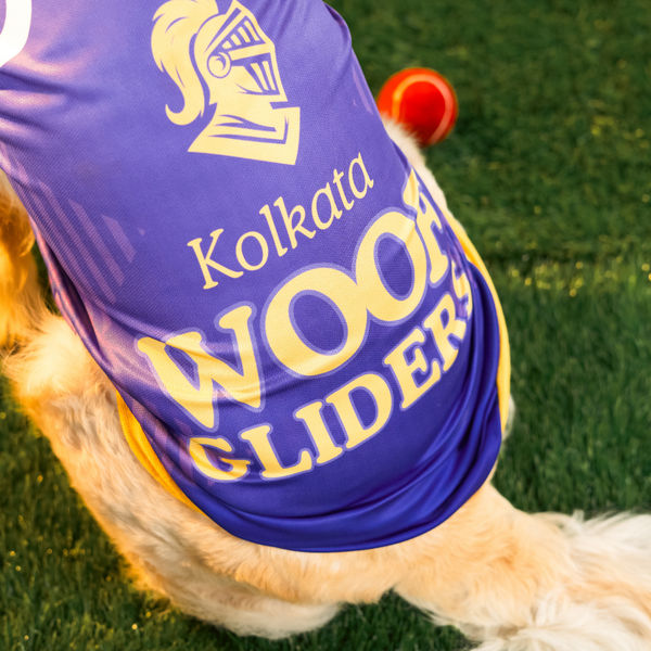 Pet Set Go Kolkata Woof Gliders IPL Jersey for Dogs (Purple) | Indian Pet League