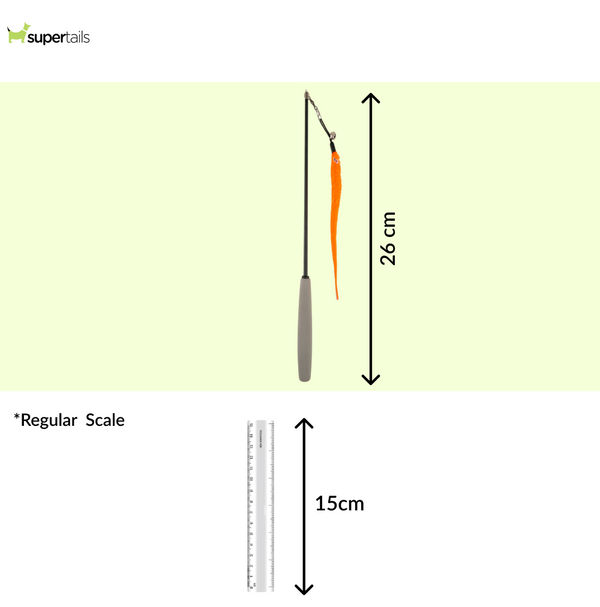 Barkbutler x Fofos Retractable Worm Teaser Toy with Catnip for Cats